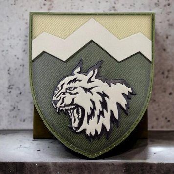 108 ОГШБ ЗСУ олива шеврон / патч 2094278829 фото