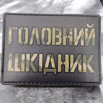 Головний шкідник шеврон \ патч 2492811529 фото