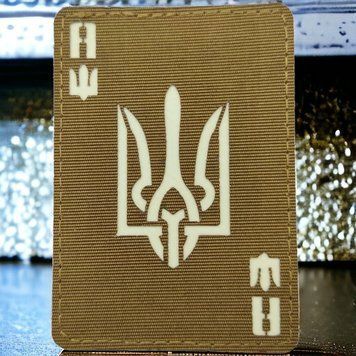 Туз с гербом Laser Cut койот шеврон / патч 2201164727 фото