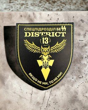 District 13 спецпідрозділ розвідки Бес шеврон / патч 2094672752 фото
