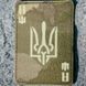 Туз з гербом Laser Cut мультикам шеврон / патч 2201168417 фото 1